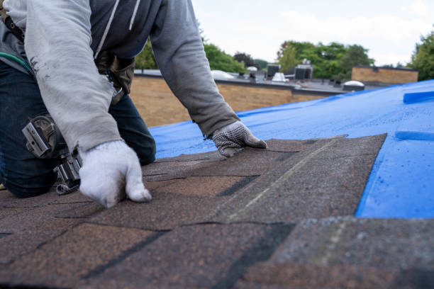 Best Asphalt Shingle Roofing  in Oakwood, GA